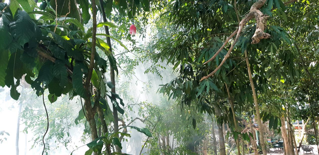 코롱 산로엠 Jungle Republic 호스텔 외부 사진